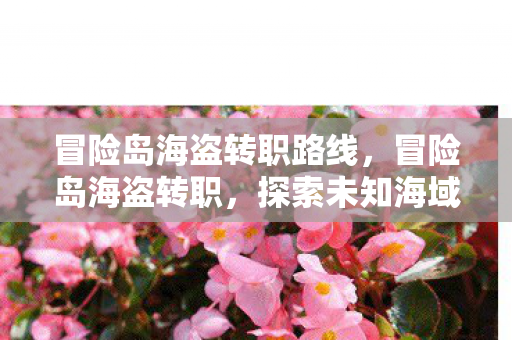 冒险岛海盗转职路线，冒险岛海盗转职，探索未知海域的勇者之旅