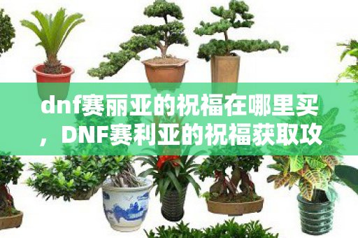 dnf赛丽亚的祝福在哪里买，DNF赛利亚的祝福获取攻略，官方途径与技巧分享