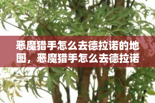 恶魔猎手怎么去德拉诺的地图，恶魔猎手怎么去德拉诺