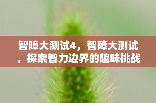 智障大测试4，智障大测试，探索智力边界的趣味挑战