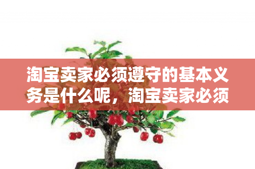 淘宝卖家必须遵守的基本义务是什么呢，淘宝卖家必须遵守的基本义务