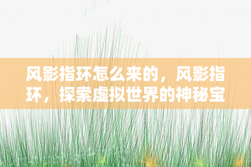 风影指环怎么来的，风影指环，探索虚拟世界的神秘宝物