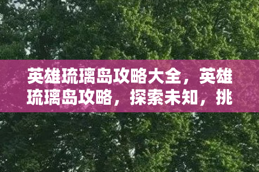 英雄琉璃岛攻略大全，英雄琉璃岛攻略，探索未知，挑战极限