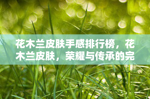 花木兰皮肤手感排行榜，花木兰皮肤，荣耀与传承的完美结合