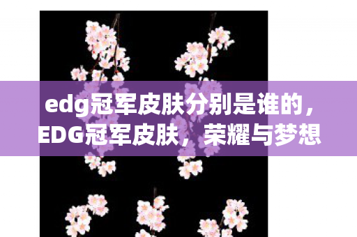 edg冠军皮肤分别是谁的，EDG冠军皮肤，荣耀与梦想的结晶
