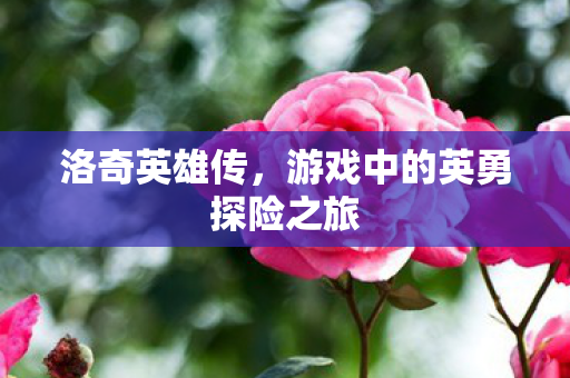 洛奇英雄传，游戏中的英勇探险之旅