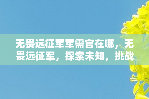 无畏远征军军需官在哪，无畏远征军，探索未知，挑战极限的勇者之旅