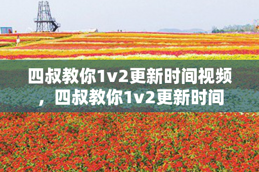 四叔教你1v2更新时间视频，四叔教你1v2更新时间