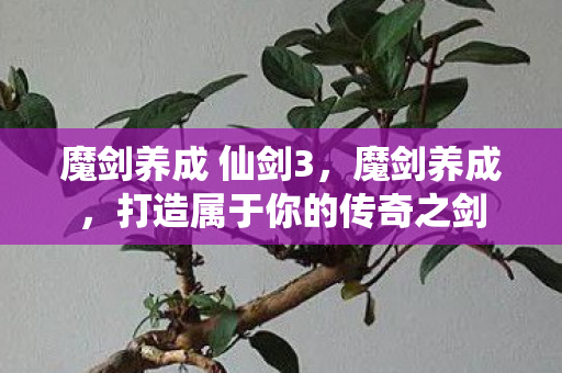 魔剑养成 仙剑3，魔剑养成，打造属于你的传奇之剑