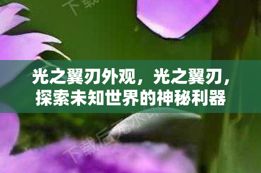 光之翼刃外观，光之翼刃，探索未知世界的神秘利器