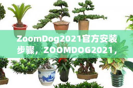 ZoomDog2021官方安装步骤，ZOOMDOG2021，探索游戏世界的无限可能
