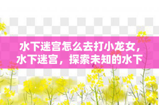 水下迷宫怎么去打小龙女，水下迷宫，探索未知的水下世界
