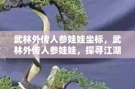 武林外传人参娃娃坐标，武林外传人参娃娃，探寻江湖中的神秘灵药