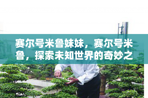 赛尔号米鲁妹妹，赛尔号米鲁，探索未知世界的奇妙之旅