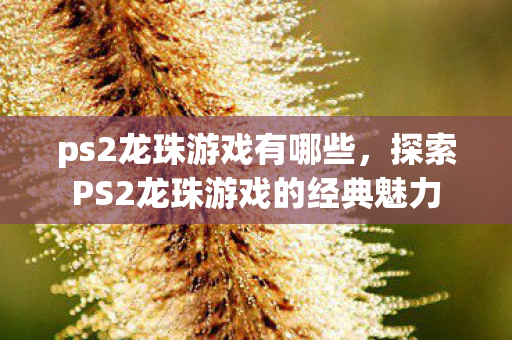 ps2龙珠游戏有哪些，探索PS2龙珠游戏的经典魅力