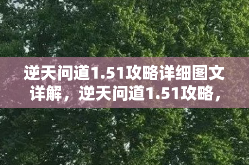 逆天问道1.51攻略详细图文详解，逆天问道1.51攻略，打造最强角色，征服无尽挑战