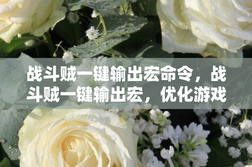战斗贼一键输出宏命令，战斗贼一键输出宏，优化游戏体验的利器