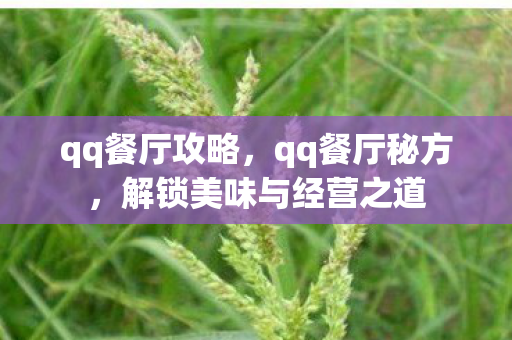 qq餐厅攻略，qq餐厅秘方，解锁美味与经营之道