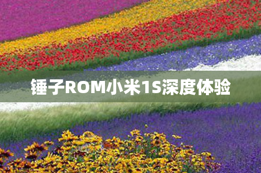 锤子ROM小米1S深度体验