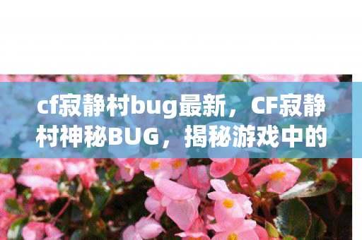 cf寂静村bug最新，CF寂静村神秘BUG，揭秘游戏中的未知异常
