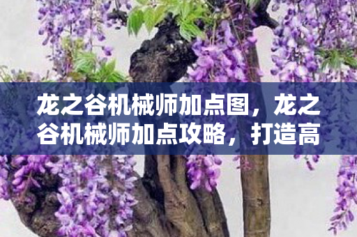 龙之谷机械师加点图，龙之谷机械师加点攻略，打造高效战斗机器