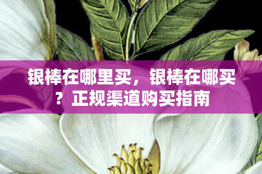 银棒在哪里买，银棒在哪买？正规渠道购买指南