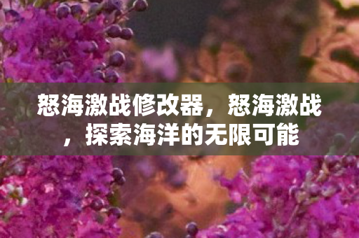 怒海激战修改器，怒海激战，探索海洋的无限可能