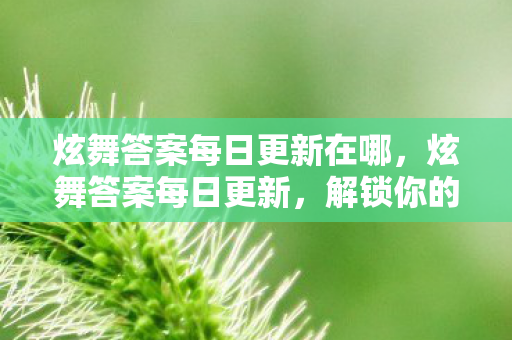 炫舞答案每日更新在哪，炫舞答案每日更新，解锁你的舞蹈新技能