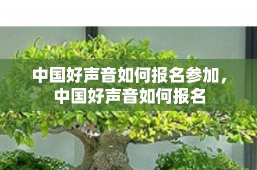中国好声音如何报名参加，中国好声音如何报名