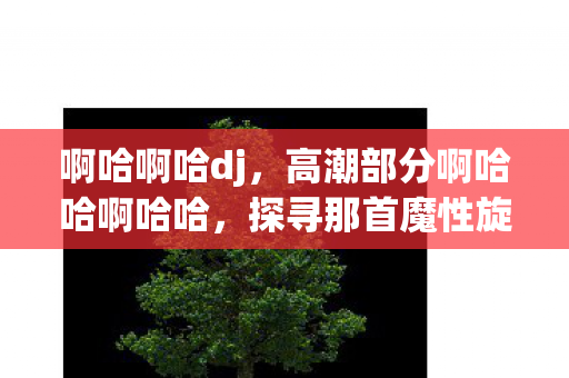 啊哈啊哈dj，高潮部分啊哈哈啊哈哈，探寻那首魔性旋律的奥秘