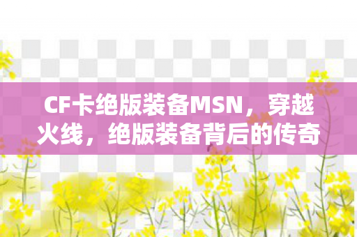 CF卡绝版装备MSN，穿越火线，绝版装备背后的传奇故事