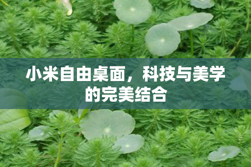 小米自由桌面，科技与美学的完美结合