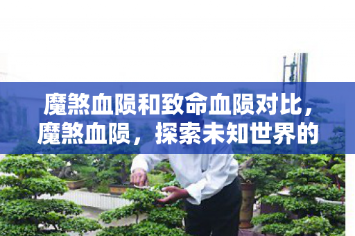 魔煞血陨和致命血陨对比，魔煞血陨，探索未知世界的奇幻之旅