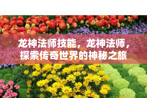 龙神法师技能，龙神法师，探索传奇世界的神秘之旅