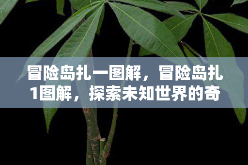 冒险岛扎一图解，冒险岛扎1图解，探索未知世界的奇妙之旅