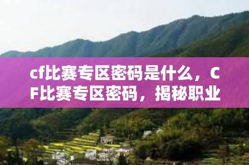 cf比赛专区密码是什么，CF比赛专区密码，揭秘职业选手背后的秘密
