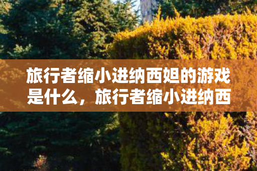 旅行者缩小进纳西妲的游戏是什么，旅行者缩小进纳西妲的NK，探索虚拟与现实的奇妙交汇