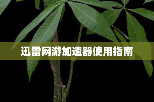 迅雷网游加速器使用指南 迅雷网游加速器使用指南