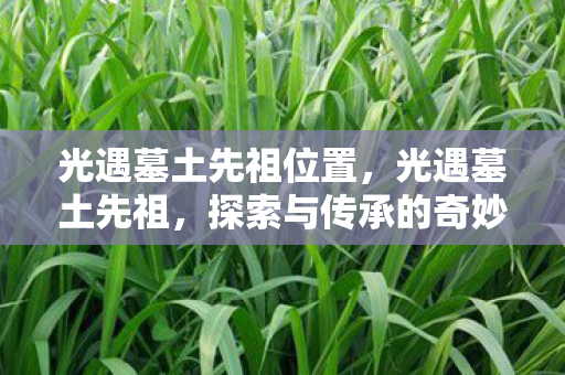 光遇墓土先祖位置，光遇墓土先祖，探索与传承的奇妙之旅