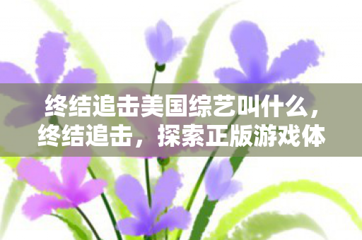 终结追击美国综艺叫什么，终结追击，探索正版游戏体验的无限可能