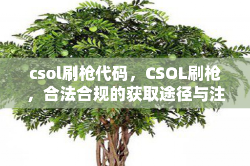 csol刷枪代码，CSOL刷枪，合法合规的获取途径与注意事项