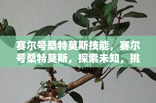 赛尔号桑特莫斯技能，赛尔号桑特莫斯，探索未知，挑战极限
