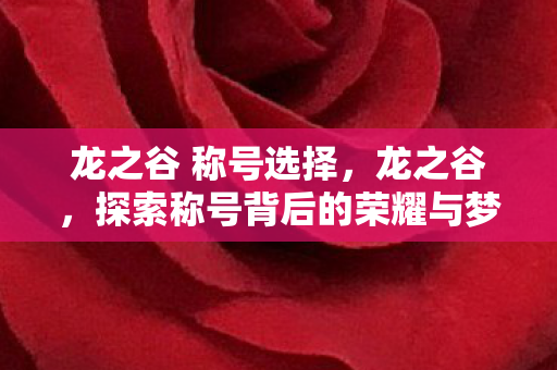 龙之谷 称号选择，龙之谷，探索称号背后的荣耀与梦想
