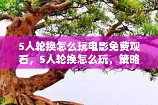 5人轮换怎么玩电影免费观看，5人轮换怎么玩，策略与乐趣并存的游戏体验