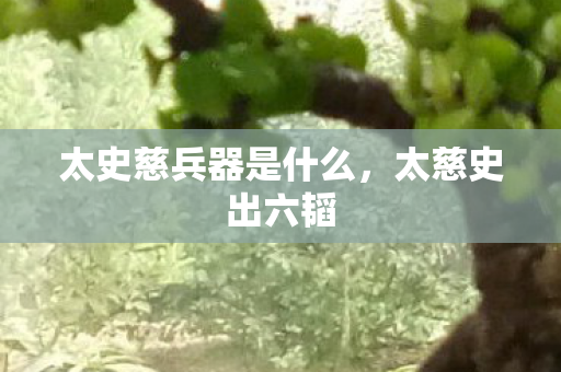 太史慈兵器是什么，太慈史出六韬