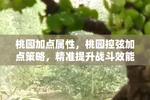 桃园加点属性，桃园控弦加点策略，精准提升战斗效能