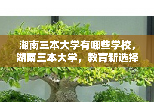 湖南三本大学有哪些学校，湖南三本大学，教育新选择，未来新希望