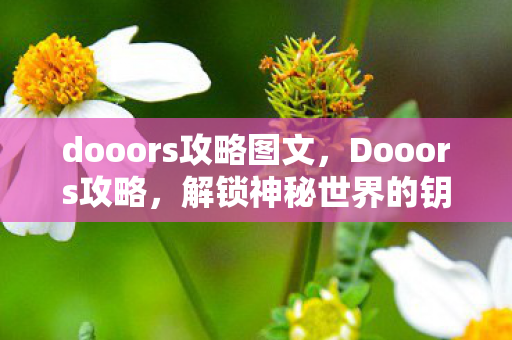 dooors攻略图文，Dooors攻略，解锁神秘世界的钥匙