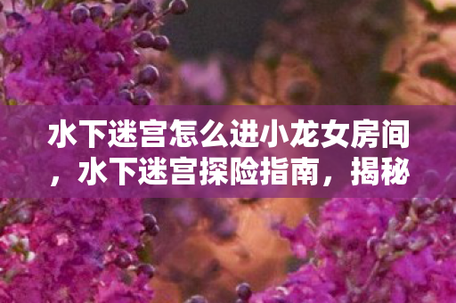 水下迷宫怎么进小龙女房间，水下迷宫探险指南，揭秘神秘入口与探险技巧