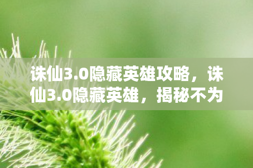 诛仙3.0隐藏英雄攻略，诛仙3.0隐藏英雄，揭秘不为人知的传奇角色